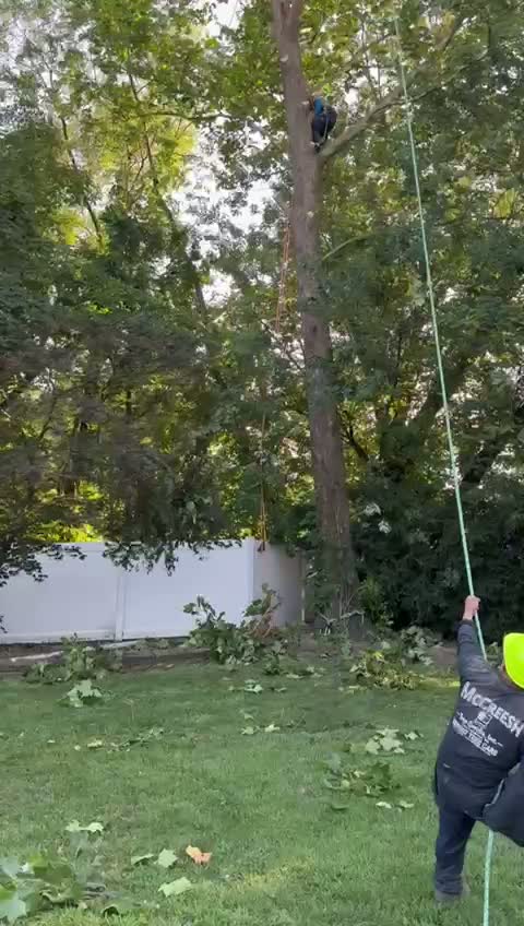 Tree Pruning